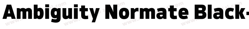 Ambiguity Normate Black字体转换